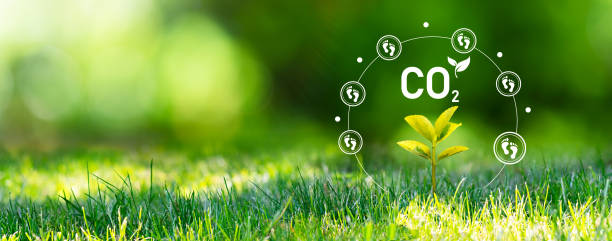 istock Carbon dioxide emissions, carbon footprint concept 1437265358