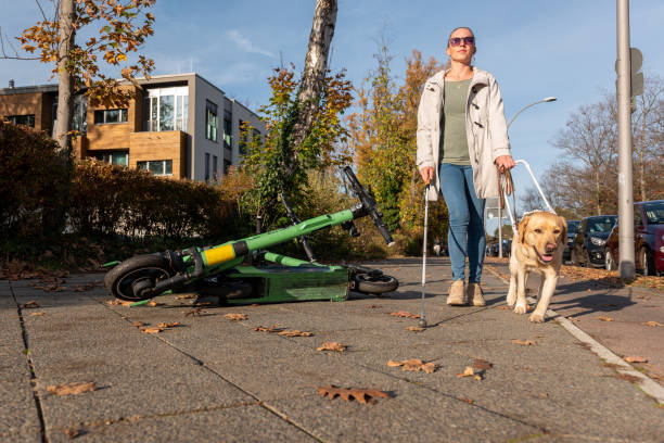 guide dog safely leads a woman around scooters in the way stock photo