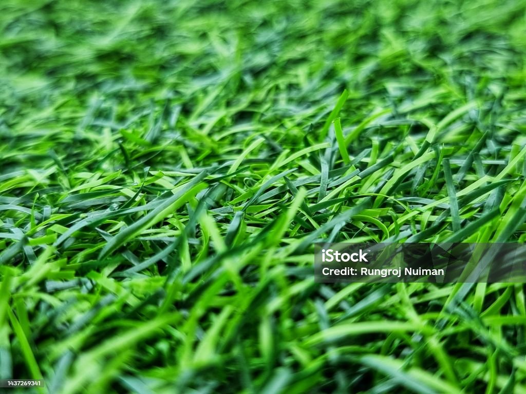 Artificial Grass Field. Close up macro shot. blur and focus at select point. Abstract Stock Photo