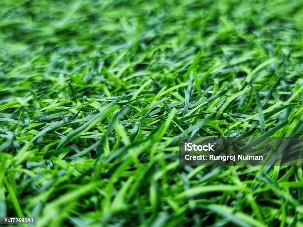 Artificial Grass Field Close Up Macro Shot Blur And Focus At Select Point Stock Photo - Download Image Now