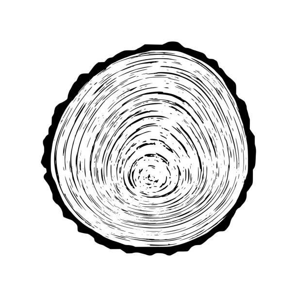 Tree Ring Outline 490+ Tree Ring Graphic Stock Illustrations, Royalty-Free Vector ...