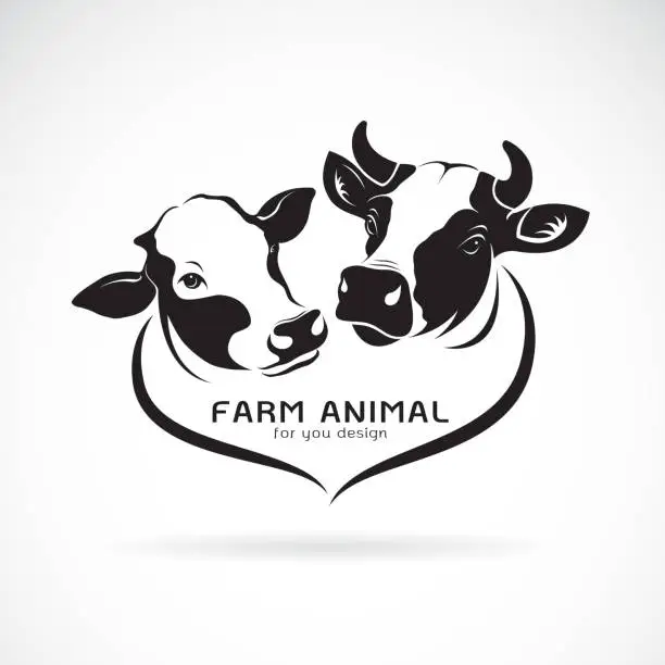 Vector illustration of Vector of two cows head design on a white background. Animals farm. Cows Icon or logo. Easy editable layered vector illustration.