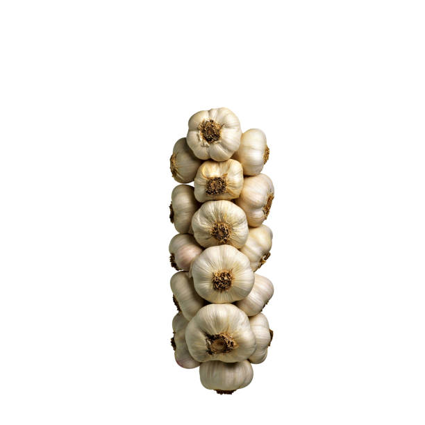 Bunch of garlic isolated on white
