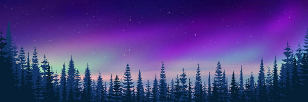 bildbanksillustrationer, clip art samt tecknat material och ikoner med trees against the background of aurora borealis, winter holiday - skog sverige