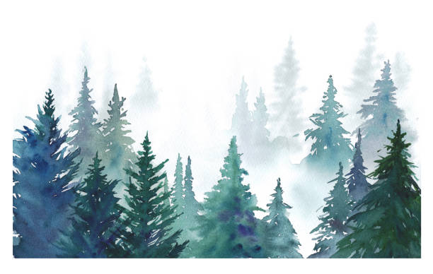 akwarelowa ilustracja mglistego lasu iglastego. krajobraz leśny. - forest stock illustrations
