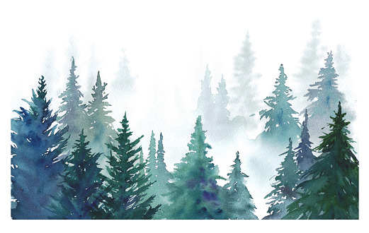 Watercolor illustration of misty coniferous forest. forest landscape.
