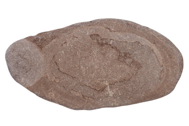 istock Top view of single brown pebble 1437282393