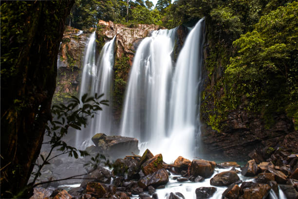Long exposure of Nauyaca waterfall, Puntarenas province, Costa Rica Long exposure of Nauyaca waterfall, Puntarenas province, Costa Rica nauyaca waterfall photos stock pictures, royalty-free photos & images
