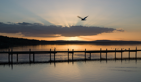 Silhouette of jetty at dusk over lake with majestic sunlight and flying seagull at afterglow