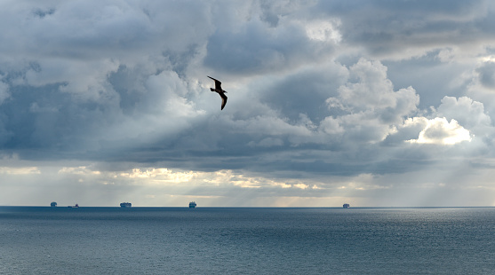 Flying seagull and container ships with majestic cloudscape and sunbeams on Island Helgoland