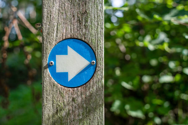 istock Blue arrow way marker sign on a trail 1437296253