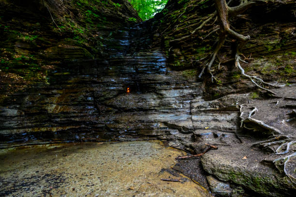 istock Chestnut Ridge Park Eternal Flame Falls 1437301135