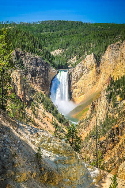 Grand Canyon of  the Yellowstone Yellowstone River Falls Cascading in the most picturesque area Grand Canyon of the Yellowstone grand canyon of yellowstone river stock pictures, royalty-free photos & images