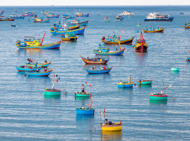 Fishing village Mui Ne, Binh Thuan province Mui Ne fishing village is a peaceful image of a pure Vietnamese fishing village. Mui Ne fishing port is located on Huynh Thuc Khang street, about 23km north of Phan Thiet city center. Mui Ne Fishing Village is one of the attractions and tourist attractions in Phan Thiet that cannot be missed. This is the place for you to discover the life of the locals of the sea. The fishing village in the morning is like a market on the busy sea of ships. People buying and selling fish gather to bring fish to the market to sell, the buyers and sellers here are very friendly and the busy trading scene takes place as a daily routine. mui ne bay photos stock pictures, royalty-free photos & images