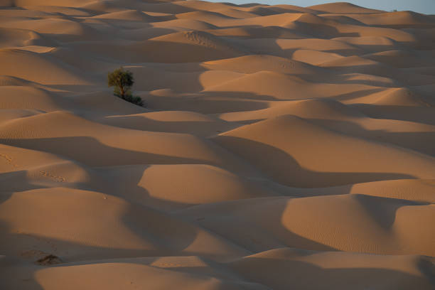 istock The Tunisian Desert 1437307790
