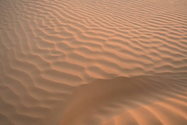 istock The Tunisian Desert 1437309476