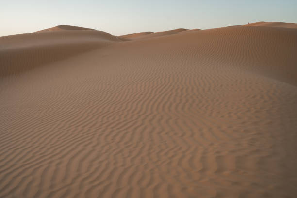 istock The Tunisian Desert 1437309728