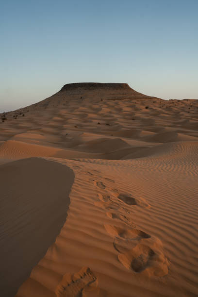 istock The Tunisian Desert 1437309769