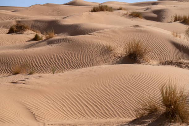 istock The Tunisian Desert 1437309960