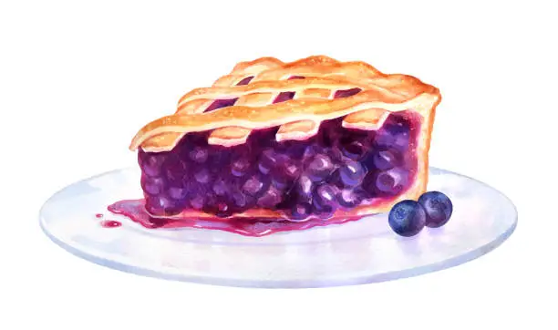 Vector illustration of Watercolor illustration of Blueberry Pie on plate