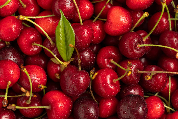 Sweet red cherries close up. stock photo