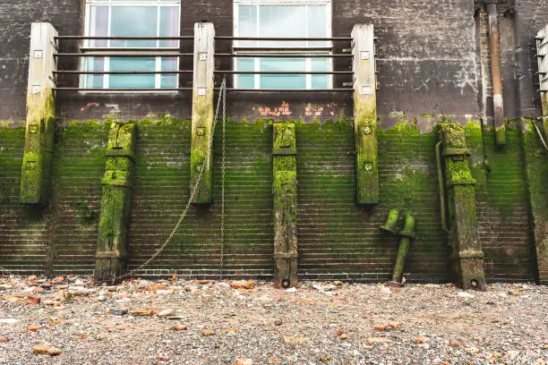 Photo of A detail of the riverbank in London. The river Thames is low tide. The wall is green from the seaweed