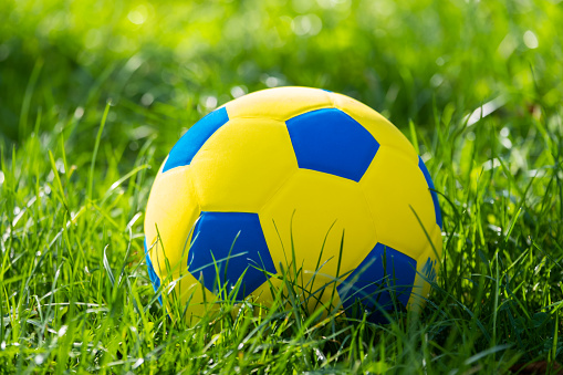 Soccer ball in green grass