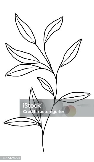 istock Wildflowers on White Background 1437324924