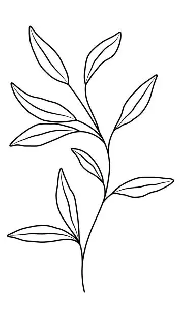 Vector illustration of Wildflowers on White Background