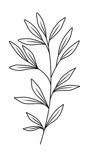 Vector illustration of Wildflowers on White Background