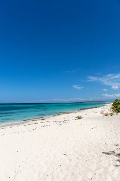 istock Sunset in the Dominican Republic 1437325110