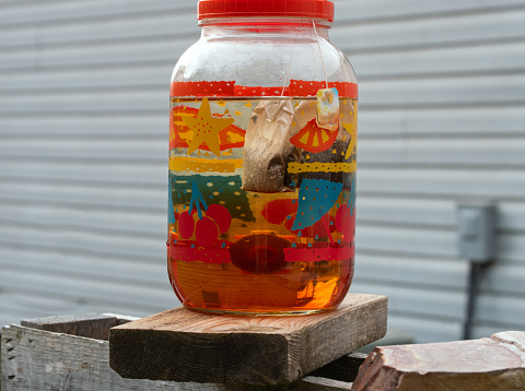 A colorful glass jar holds the water and tea bags and is brewing in the summer sunshine. Delicious homemade sun tea will make a delightful refreshment. Bokeh.