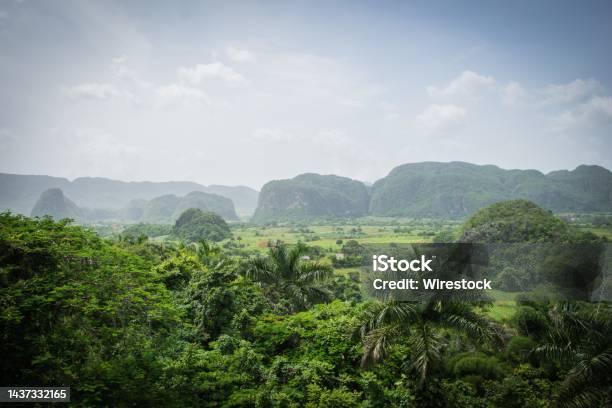 Landscape Shot Of The Tropical Viñales Valley Vinales In Cuba Stock Photo - Download Image Now