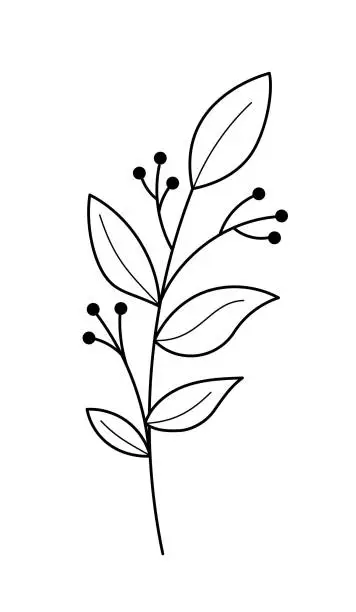 Vector illustration of Wildflowers on White Background