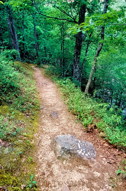 Well Worn Foot Path in the Ozarks A well worn foot path on the shores of Noblett Lake leads into the Mark Twain National Forest in the southern Missouri Ozark Hills. mark twain national forest missouri stock pictures, royalty-free photos & images