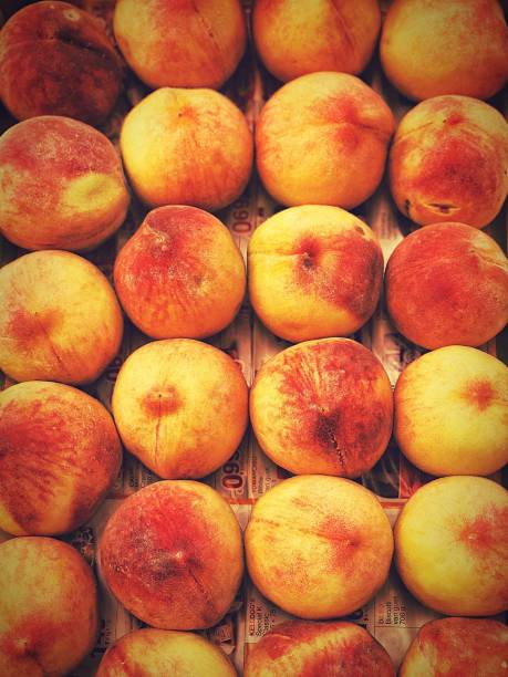 Top view of lined peaches