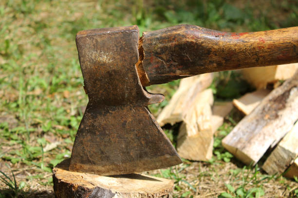 istock rusty hand an ax is driven into a tree against the background of camping tents, an ax in a board, chop with an ax in the forest, chop chips for a fire with an ax on a hike, cut wood, splitting wood 1437337650
