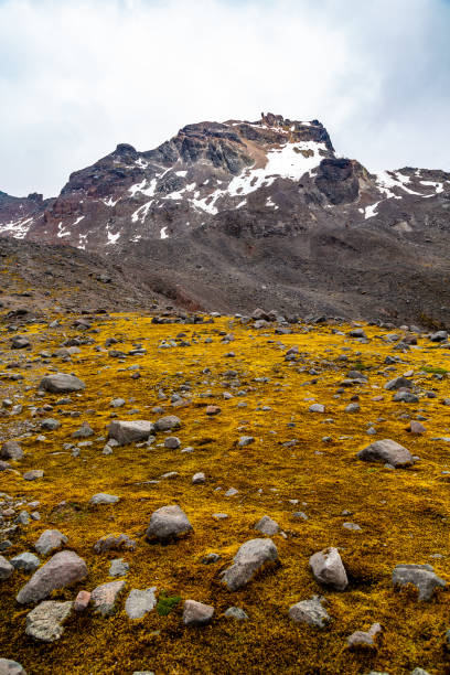 istock Carihuairazo volcano 1437339883