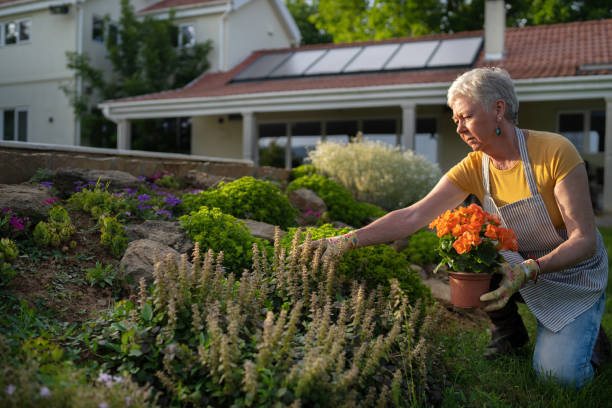 istock A retired woman is planting a flower 1437343088