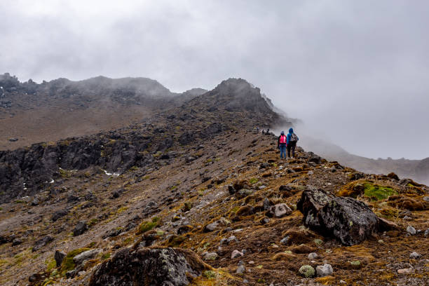 istock Los Ilinizas Ecological Reserve. 1437348875