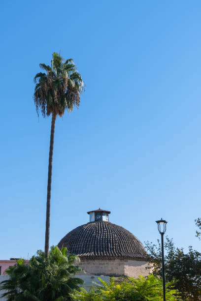 istock historical bath dome and palm tree. irmak hamami. Adana, Turkey. 1437350991