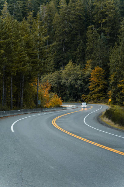 istock Windy road in Vancouver Island 1437355439
