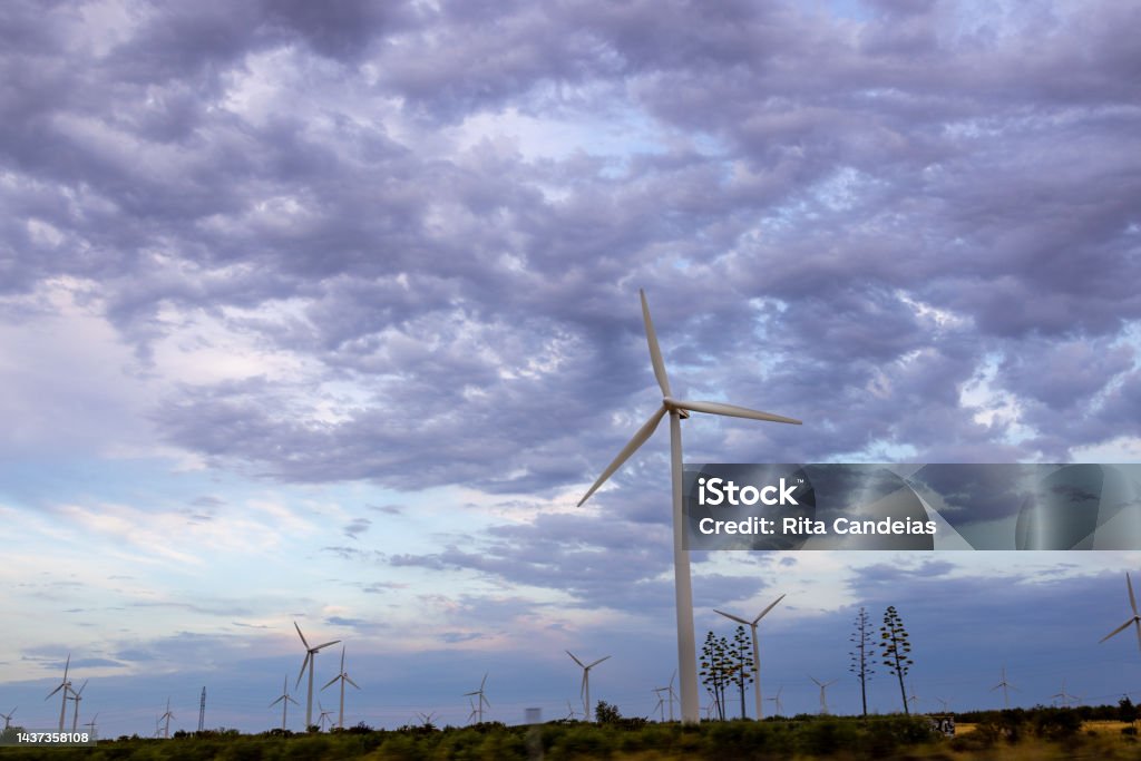 Wind farm field Windmills with a dramatic sky Agricultural Field Stock Photo
