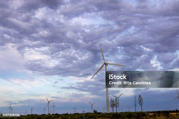 Wind Farm Field Stock Photo - Download Image Now - Agricultural Field, Beginnings, Climate