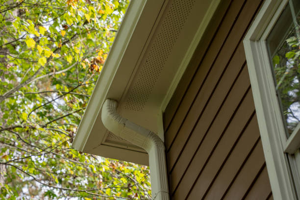 istock Gutter system on a wood-paneled exterior with trees in background 1437358501