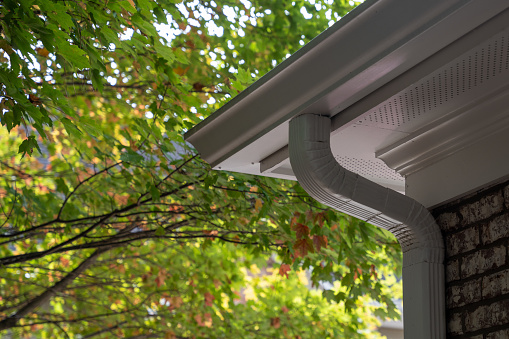 A modern gutter pipes down a home with foliage framing the house.