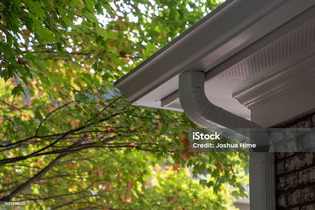Gutter With Tree In Gutter System On A Brick Exterior With Trees In Background Stock Photo ...