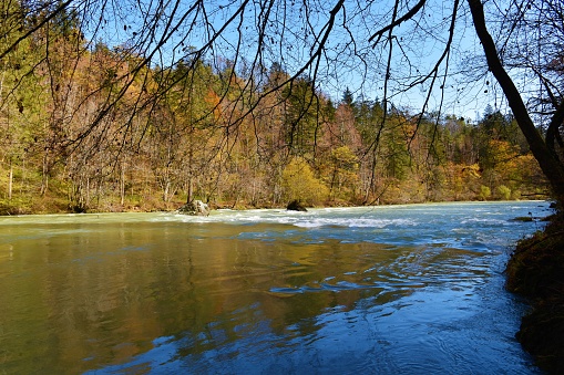 Sava river in Gorenjska, Slovenia with an autumn colored forest on the shore