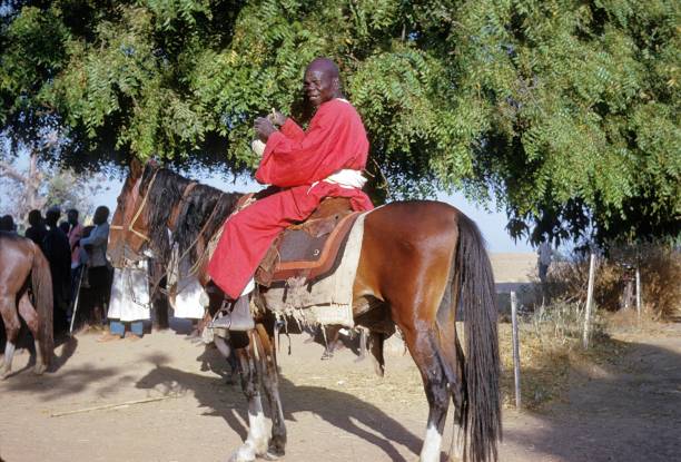 A man enjoying horse riding surrounded by green trees and a bright sunny atmosphere. Suitable for depicting outdoor leisure activities and equestrian themes in rural or natural settings.