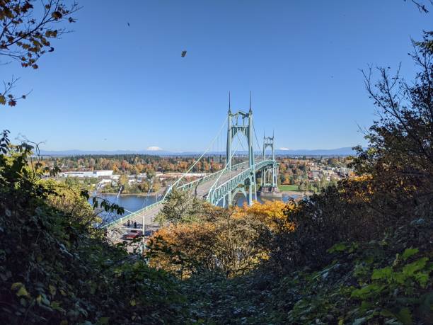 View of St. Johns Bridge from Forest Park Ridge Trail